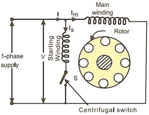 What is Split Phase Induction Motor? Working, Diagram & Characteristics ...