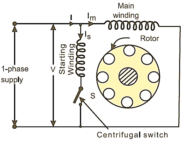 What is Split Phase Induction Motor? Working, Diagram & Characteristics ...